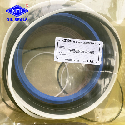 Ship Parts Supplies TTS Series Marine Oil Seals Hatcn Cover Hydraulic Cylinder Seal Kits