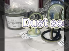 Sceaux de poussière en caoutchouc DSI LBI LBH VAY DH de type différent résistant aux températures élevées