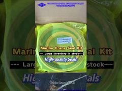 Marine Crane JC0000-5325R0-6101 160/230 UPP Cylindre hydraulique ASS'Y Φ250 Kit de joint de boulon droit.